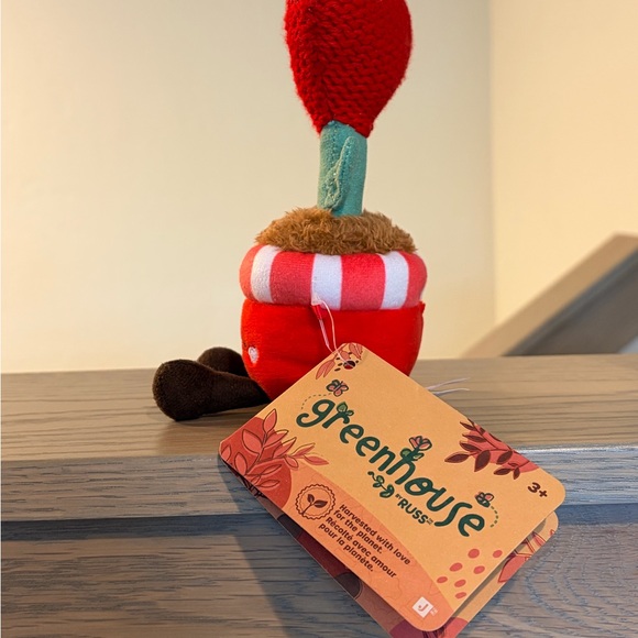 🌱 Greenhouse By Russ Emmy Heart Flower Valentines Day ❤️ Mini 6” Plant BNWT - Picture 4 of 8